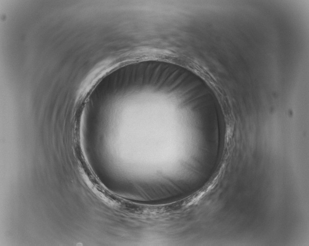 X0000053090101200508081321