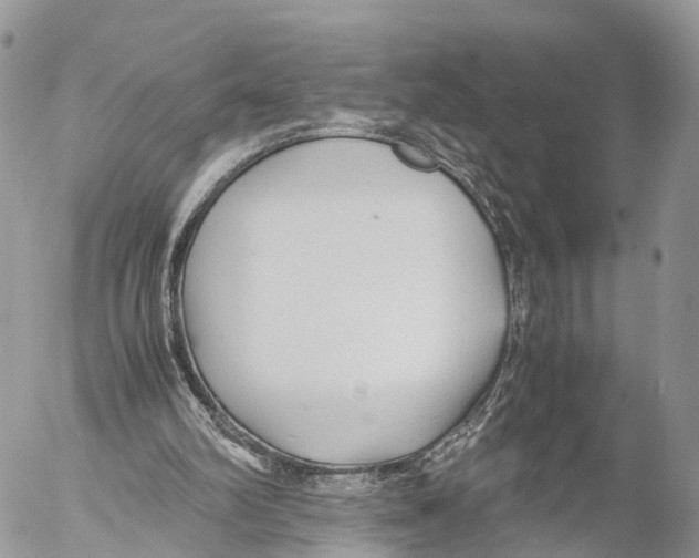 X0000053090102200508081321