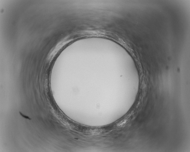 X0000053090103200508081321