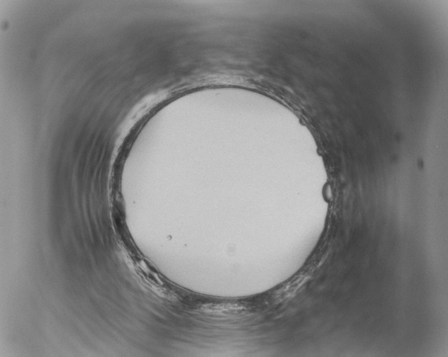 X0000053090104200508081321