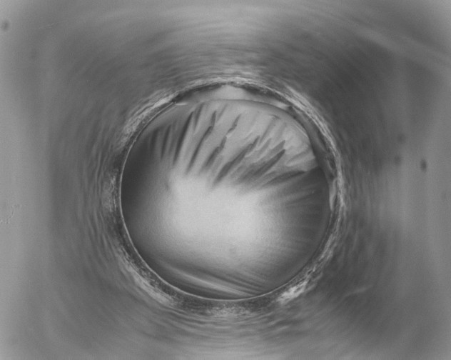 X0000053090105200508081321