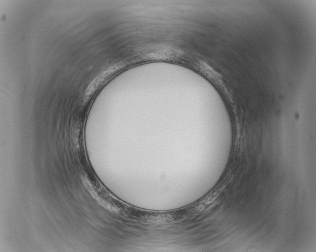 X0000053090106200508081321