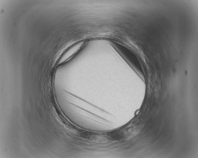 X0000053090107200508081321