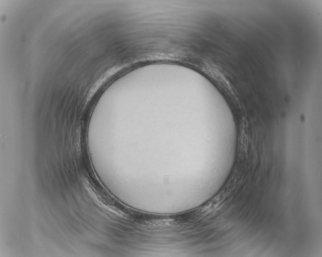 X0000053090108200508081321