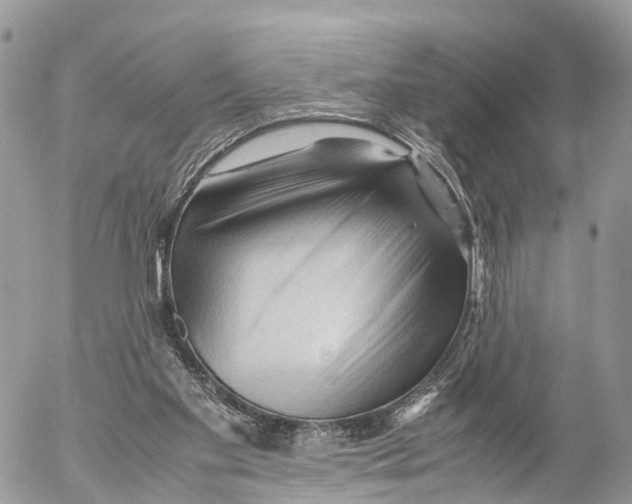 X0000053090109200508081321