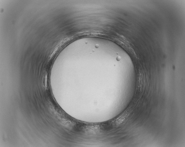 X0000053090110200508081321