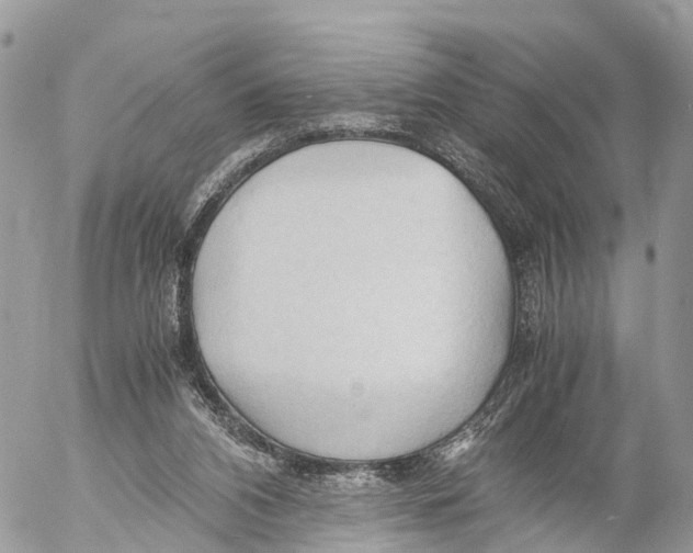 X0000053090112200508081321