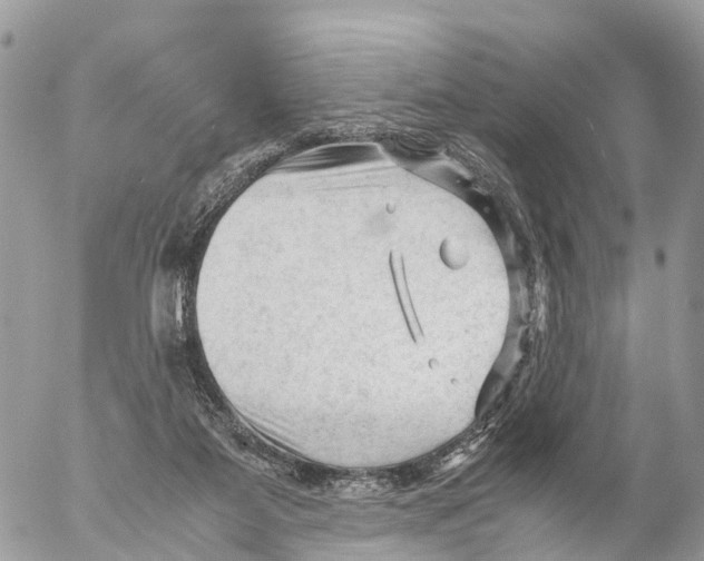 X0000053090115200508081321