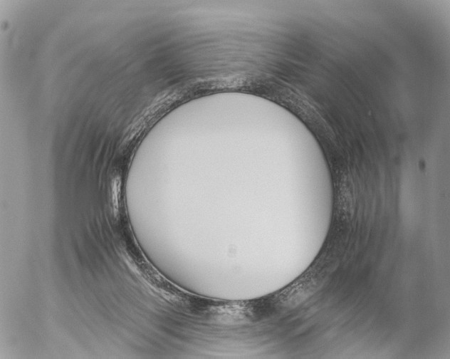 X0000053090118200508081321