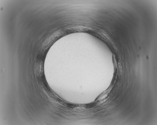 X0000053090119200508081321