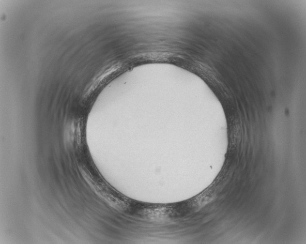 X0000053090120200508081321