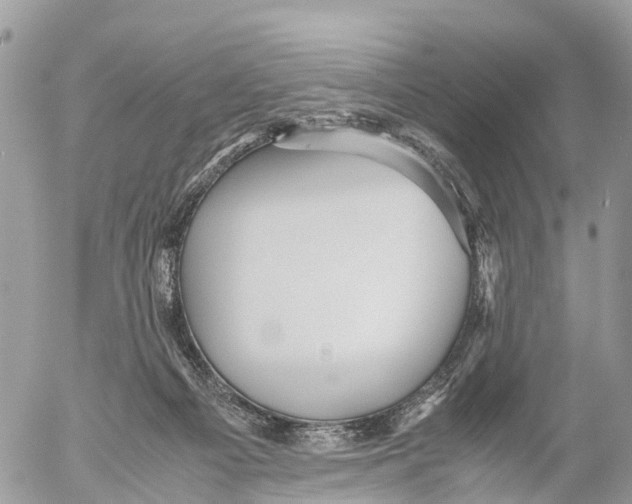 X0000053090121200508081321