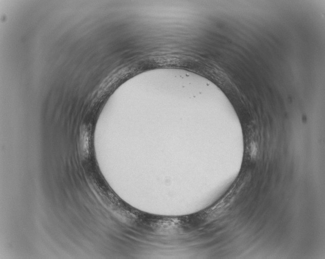 X0000053090124200508081321