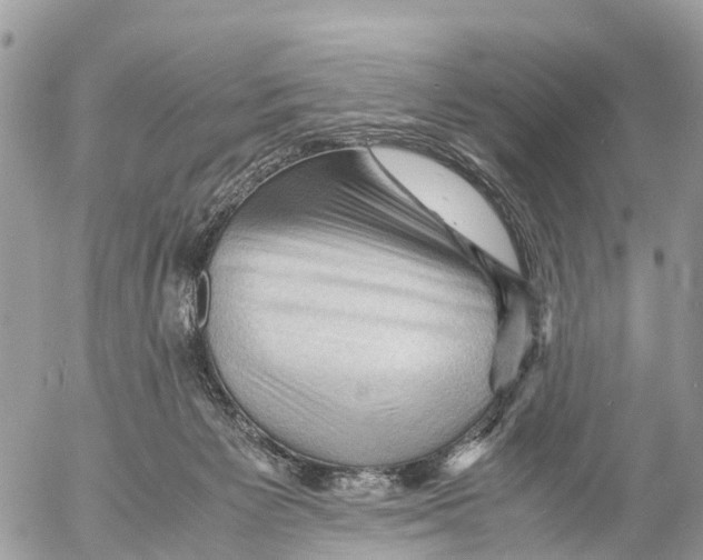 X0000053090125200508081321