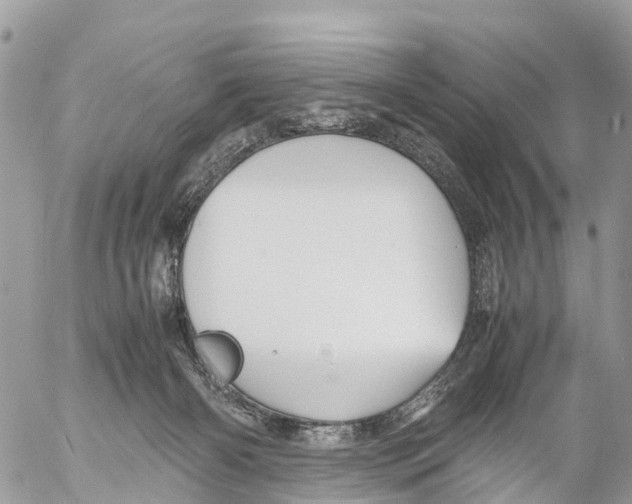 X0000053090126200508081321