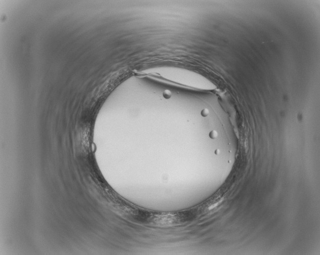 X0000053090127200508081321