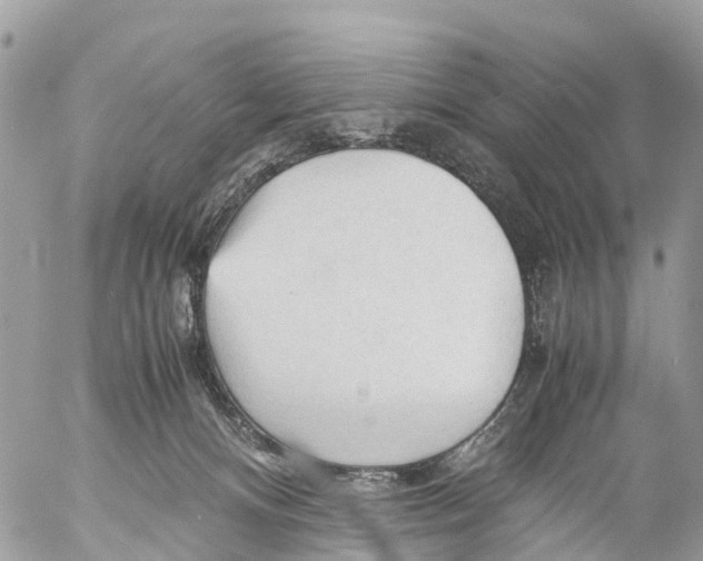 X0000053090128200508081321