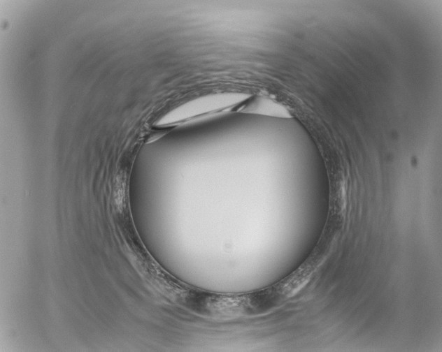 X0000053090129200508081321