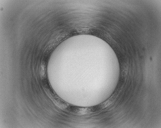 X0000053090130200508081321