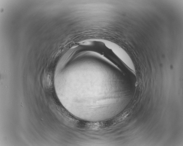 X0000053090131200508081320