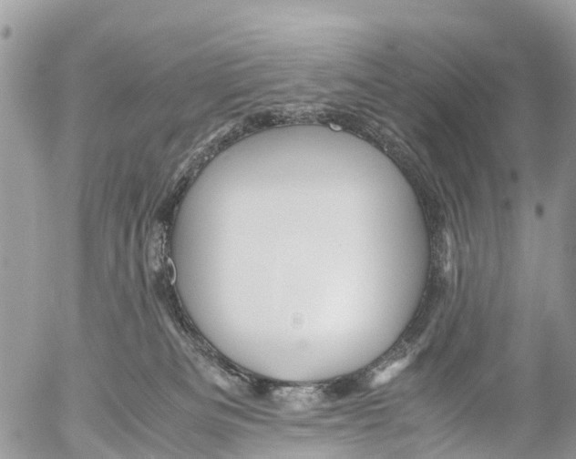 X0000053090133200508081320