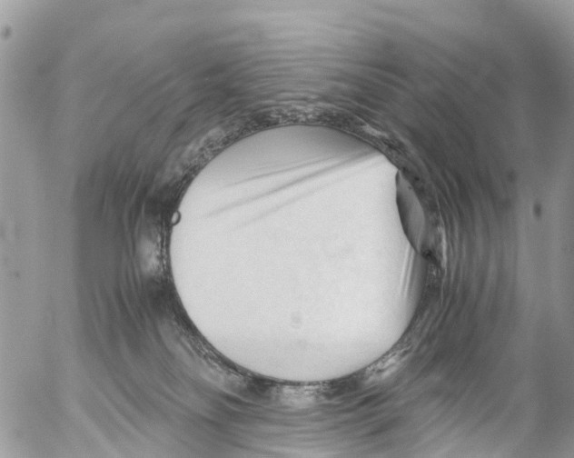 X0000053090134200508081320