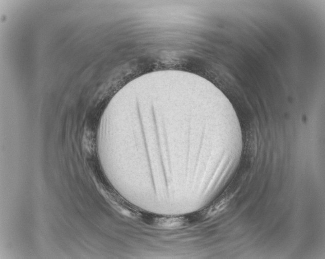 X0000053090135200508081320