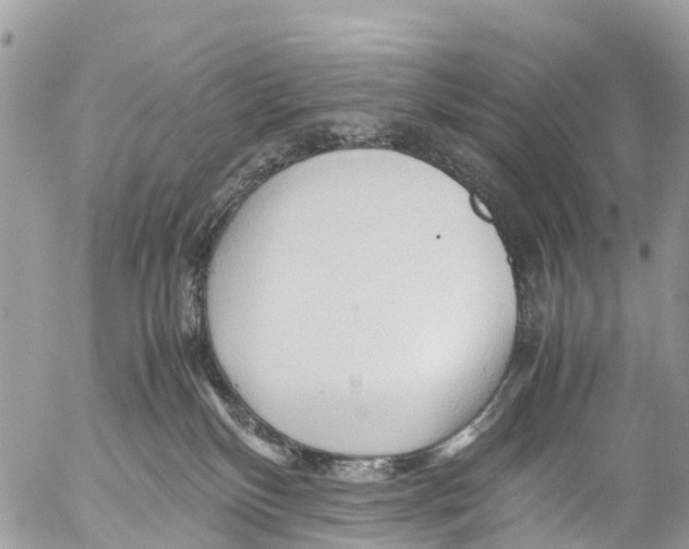 X0000053090136200508081320