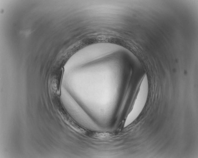 X0000053090137200508081320