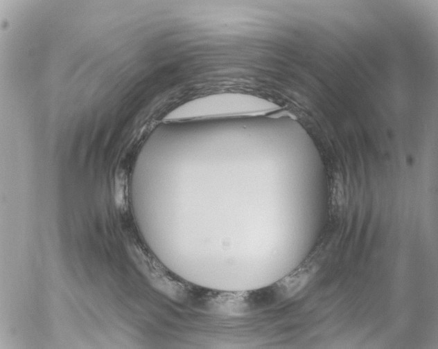 X0000053090138200508081320