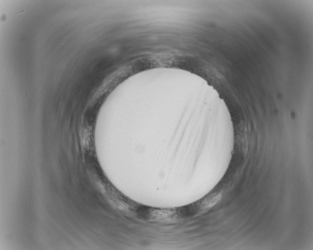 X0000053090139200508081320