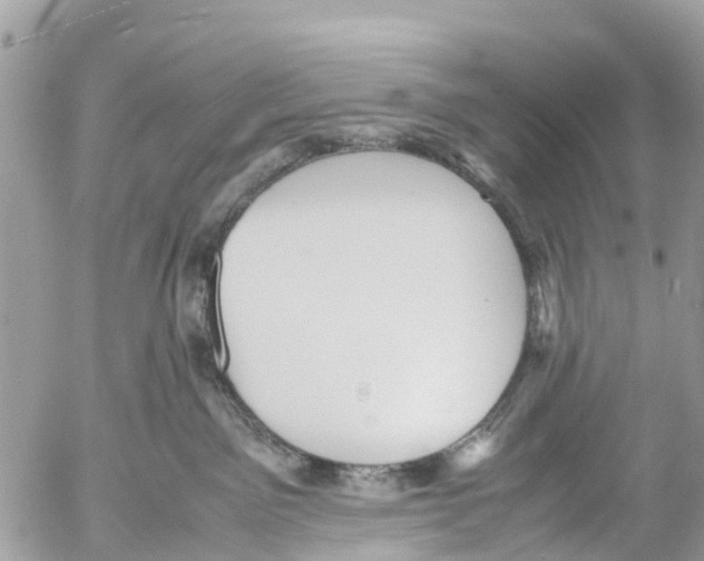 X0000053090141200508081320