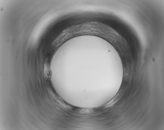 X0000053090142200508081320