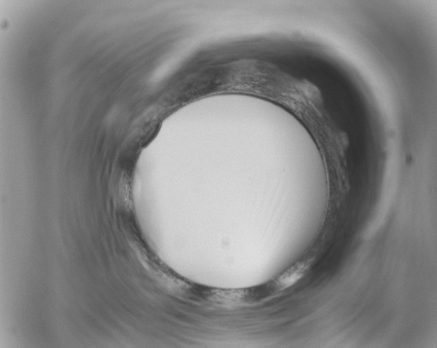 X0000053090143200508081320