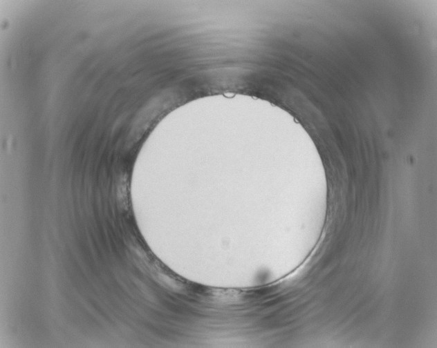 X0000053090144200508081320