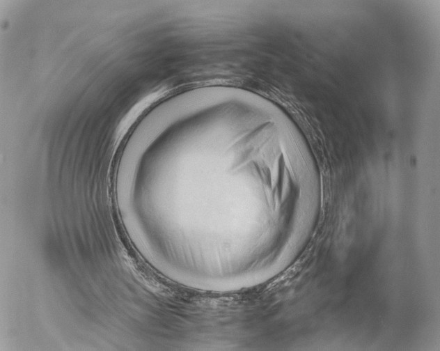 X0000053090147200508081319