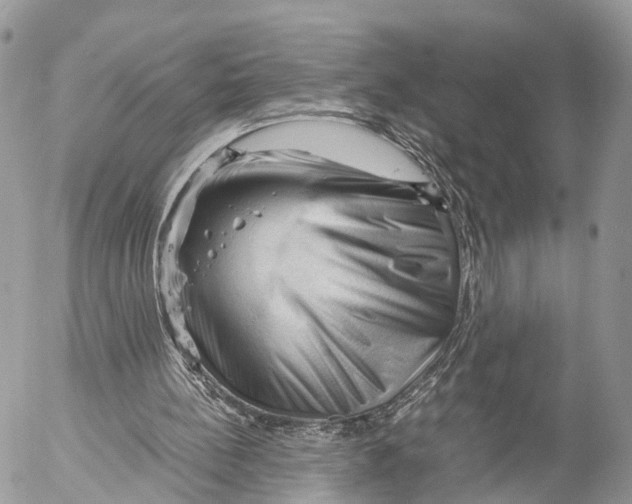 X0000053090148200508081320