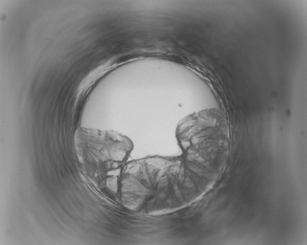 X0000053090149200508081320