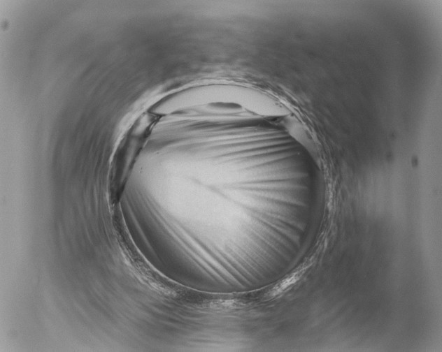 X0000053090152200508081320