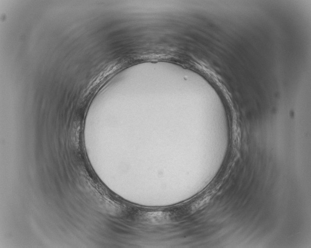 X0000053090153200508081320