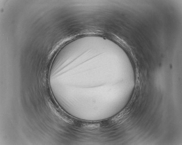 X0000053090155200508081320