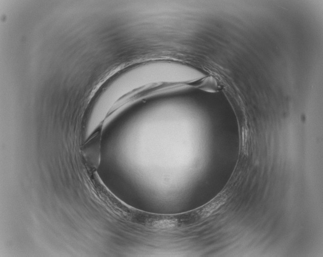 X0000053090156200508081320