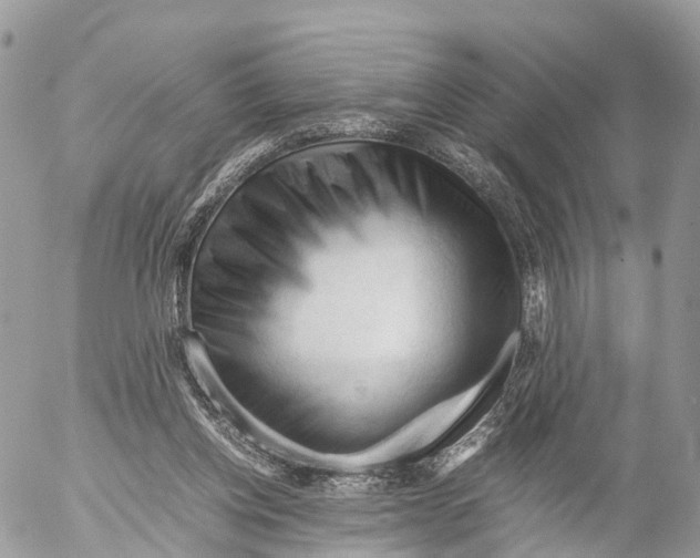 X0000053090158200508081320