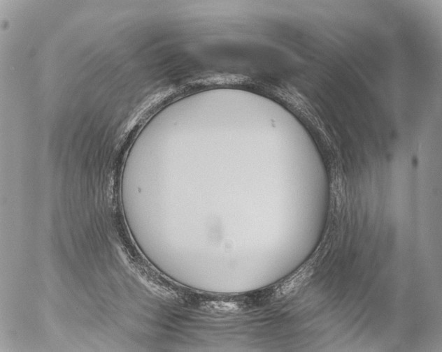 X0000053090159200508081320