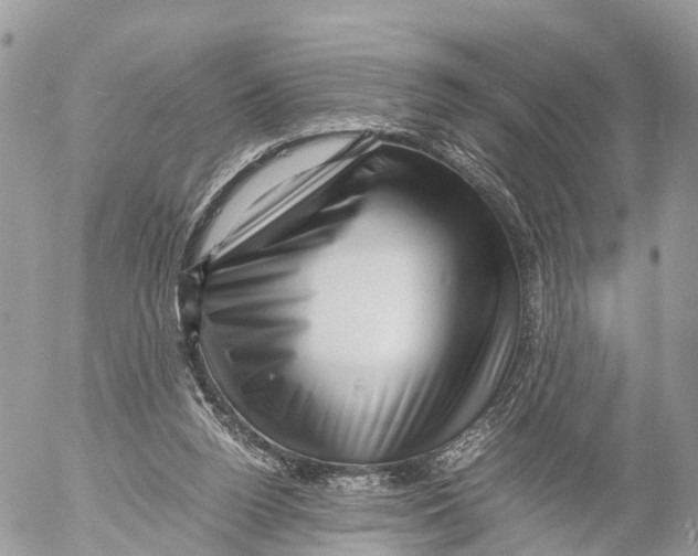 X0000053090160200508081320