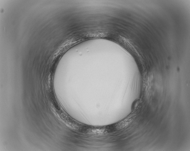 X0000053090163200508081320