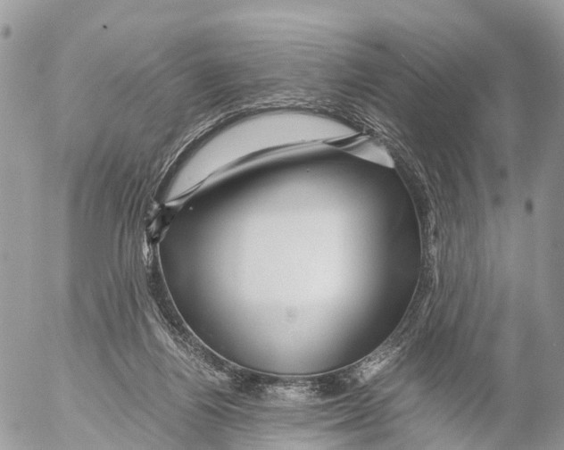 X0000053090164200508081320