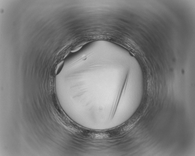 X0000053090165200508081320