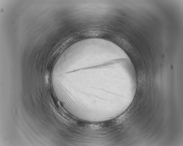 X0000053090166200508081320