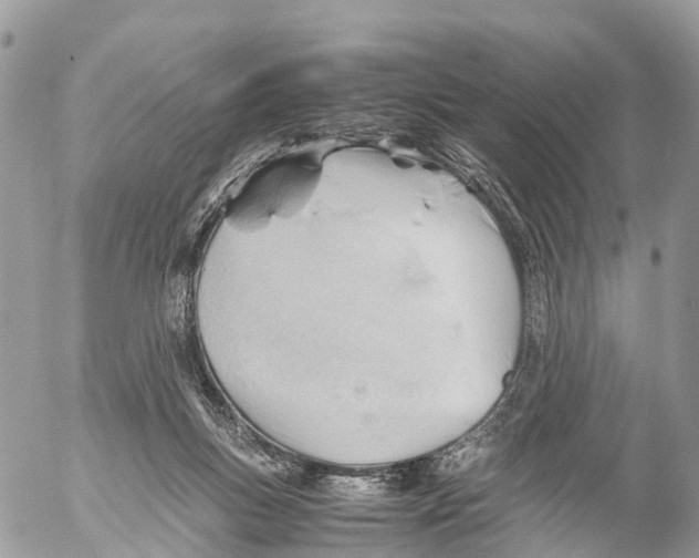 X0000053090167200508081320